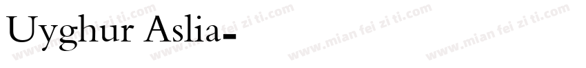 Uyghur Aslia字体转换